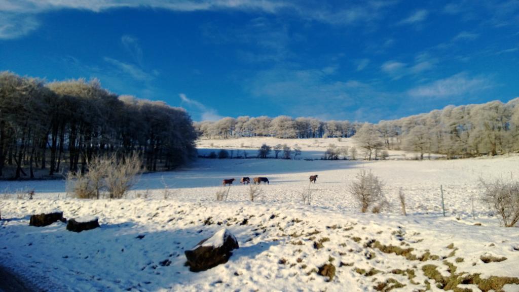 Fern Farm Cottages Buxton  Eksteriør bilde